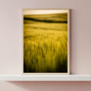 Polna cisza - Piekary Śląskie